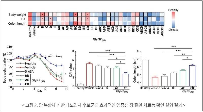 카이스트, 만성 염증성 장 질환 치료제 개발 Anti-inflammatory Glycocalyx-Mimicking Nanoparticles for Colitis Treatment: