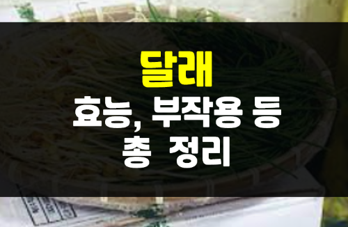4월 5월 제철음식 달래 효능과 요리 방법 총정리