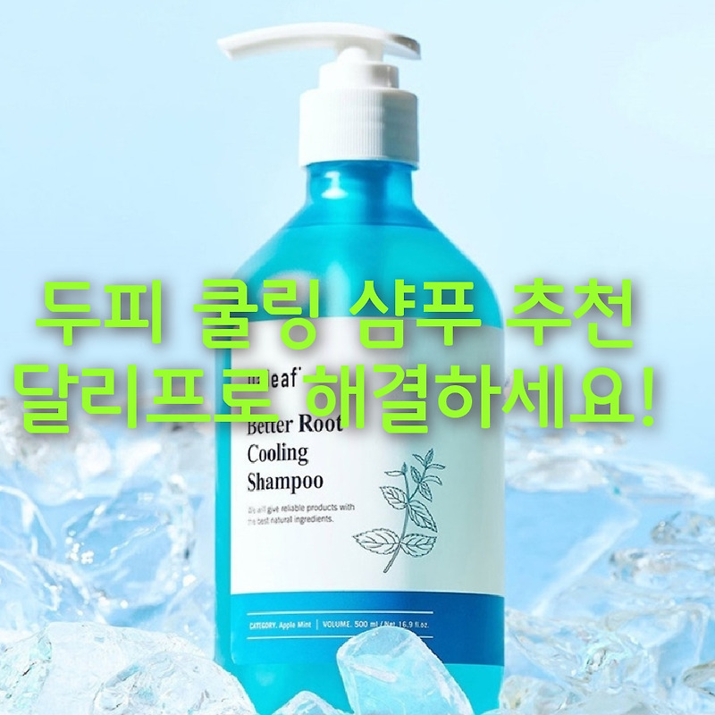 두피 쿨링 샴푸 추천 달리프!