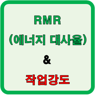 R.M.R과 작업강도에 영향을 주는 요소