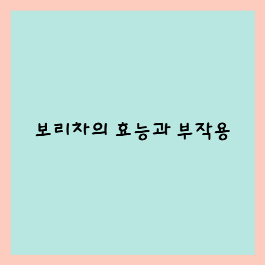 보리차의 효능과 부작용