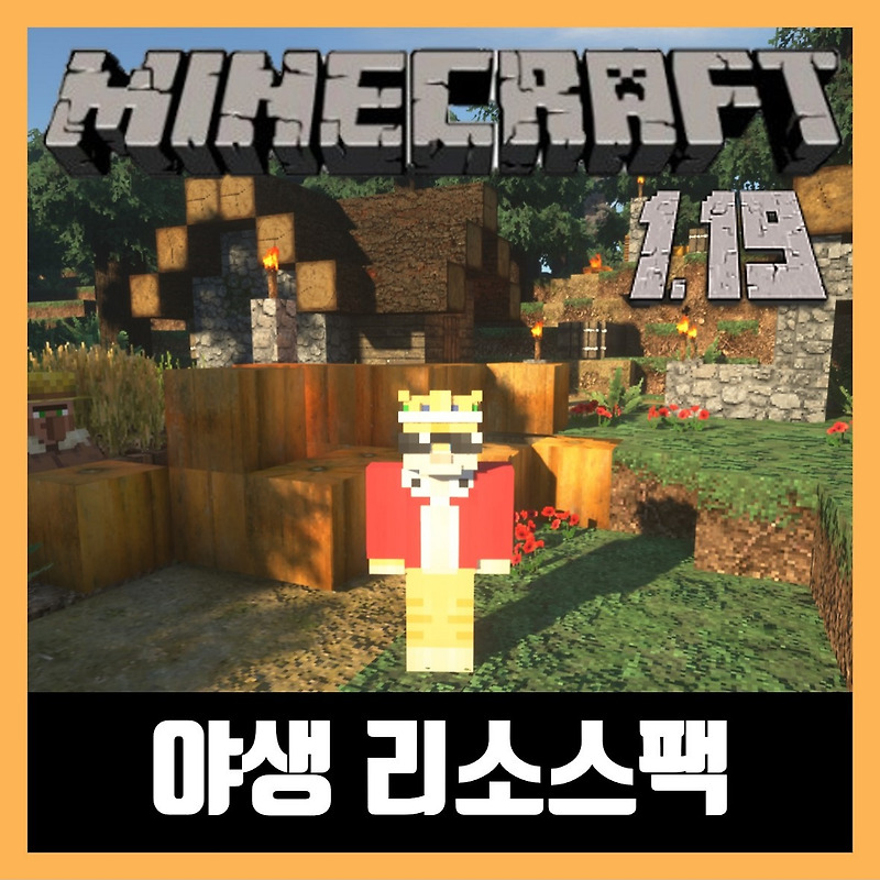 마인크래프트 1.19 야생 리소스팩 다운로드 Patrix