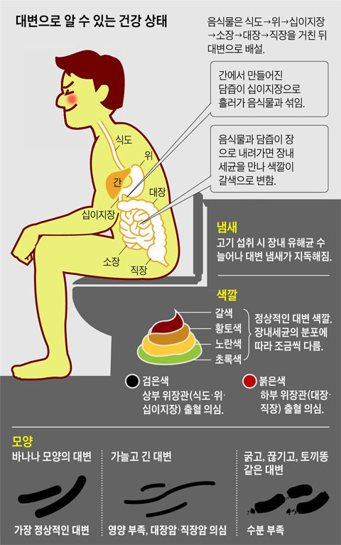 똥의 건강학