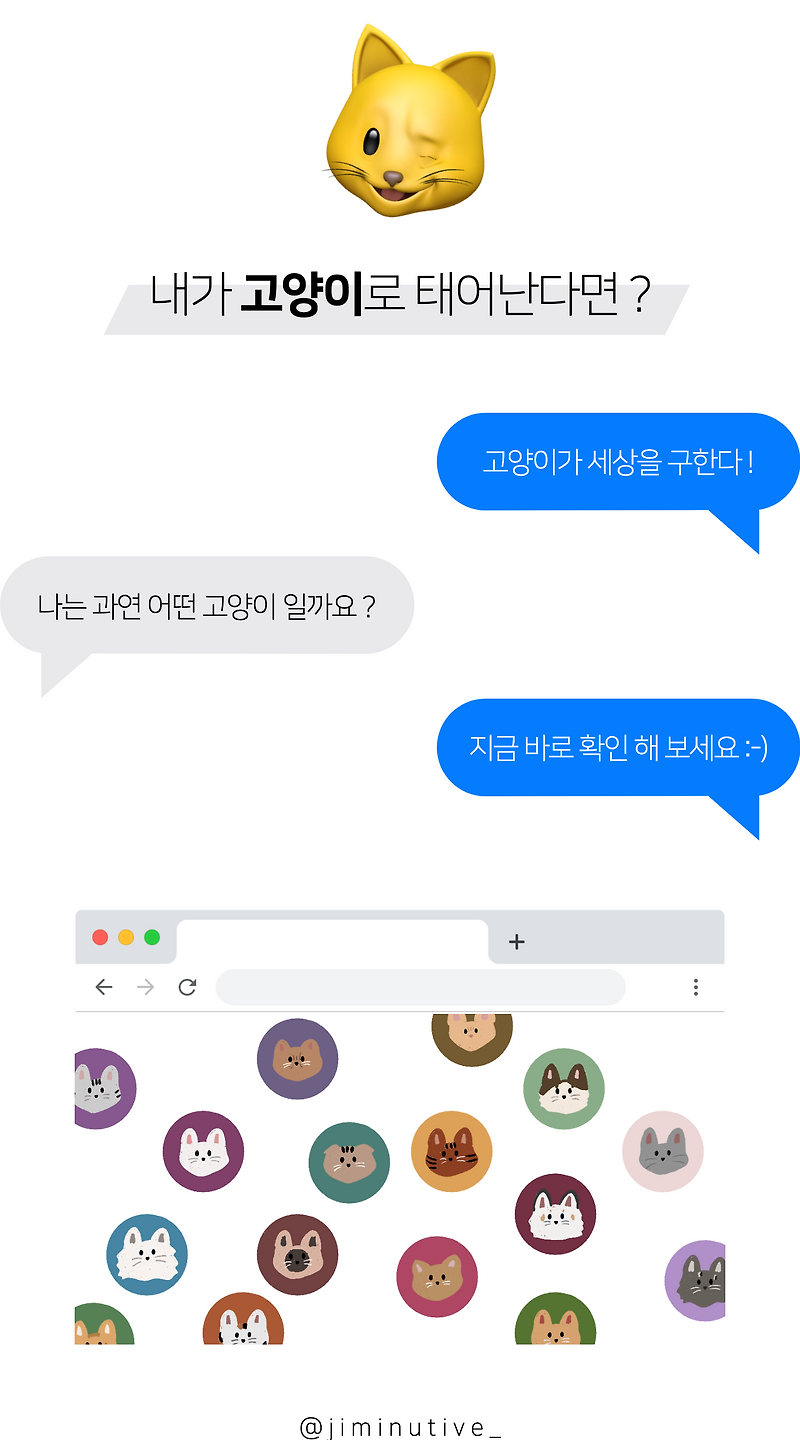 (MBTI 심리테스트) 내가 고양이로 태어난다면?