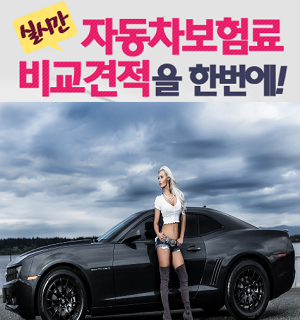 비싸게 하고싶어도 못할 자동차보험료계산기 서비스