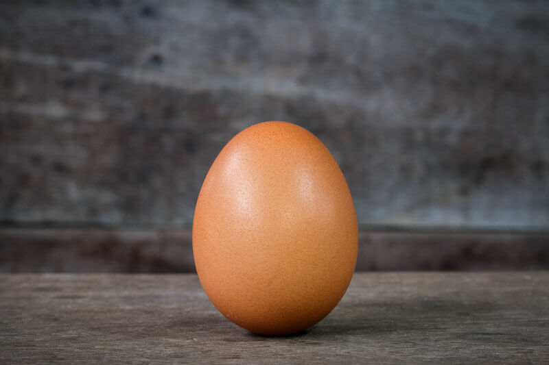 공학적 완벽 '계란 모양' 수학 공식 발견...