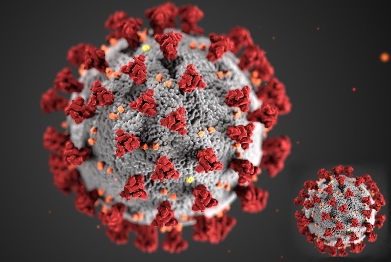 코로나 바이러스 감염증에 대한 상세한 특징과 정보