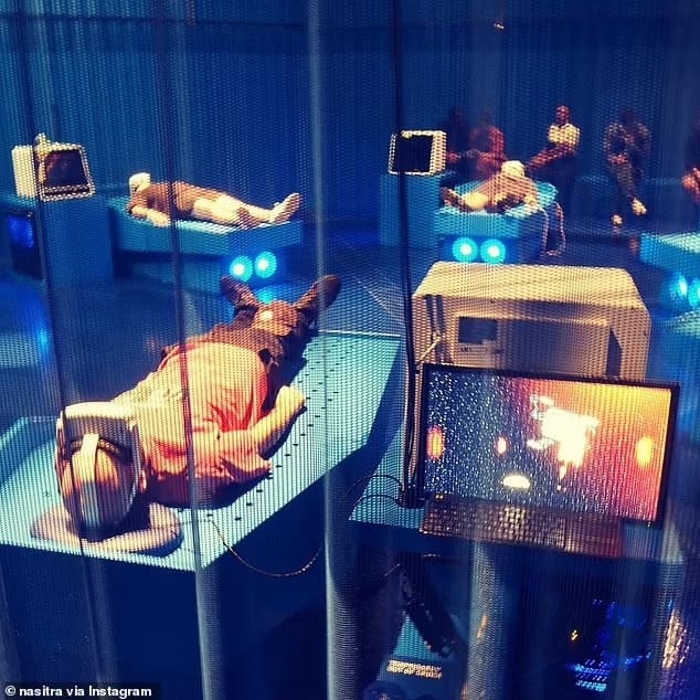 사후세계를 경험할 수 있는 '죽음 시뮬레이터' This new virtual reality 'death simulator' lets you find out