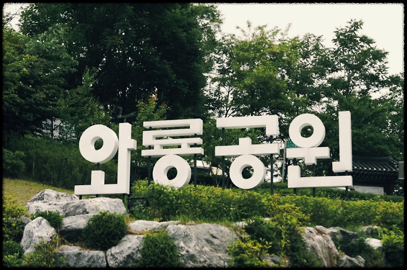 와룡공원 : 서울에 위치한 사계절 내내 아름다운 꽃이 피는 공원