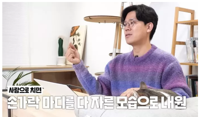 유명 연예인 고양이 학대 의혹 '미야옹철의 냥냥펀치' 얼굴 다칠까봐 디클로 발가락 마디 잘라