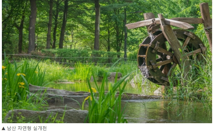 [서울의 힐링명소 베스트 10 ] 찜통 여름철!...서울 실개천 힐링하러 가자!