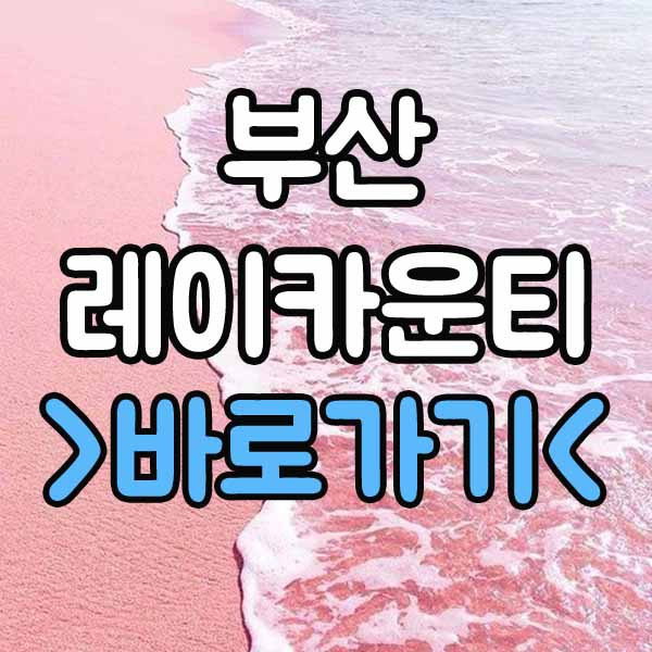 부산 레이카운티 분양가 평면도 프리미엄 모델하우스 청약 계약금
