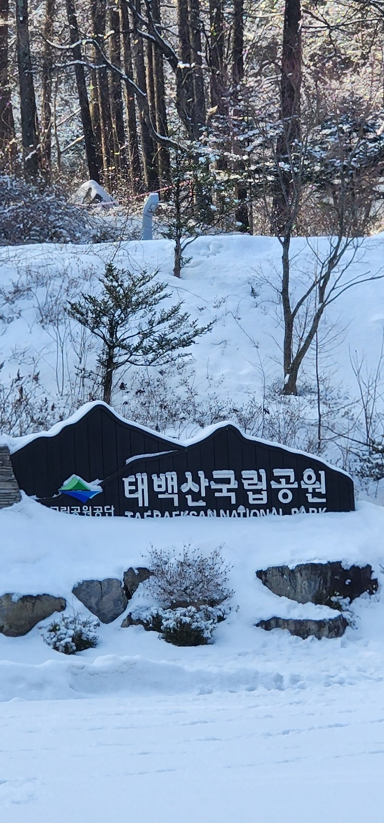 태백산 등산코스, 산행시간, 태백산 눈축제