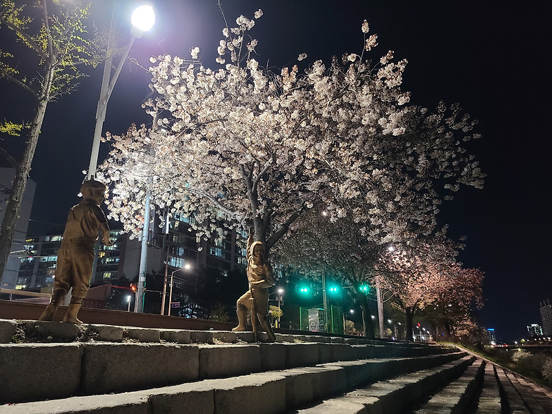 평택 도일천 야간 자전거 라이딩 코스 사진, 봄 기운이 물씬~
