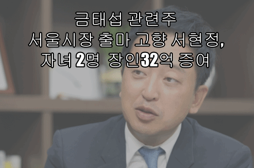 금태섭 관련주 서울시장 출마 고향 서현정, 자녀 2명  장인32억 증여