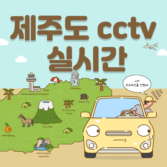 제주도 cctv 실시간 (도로)