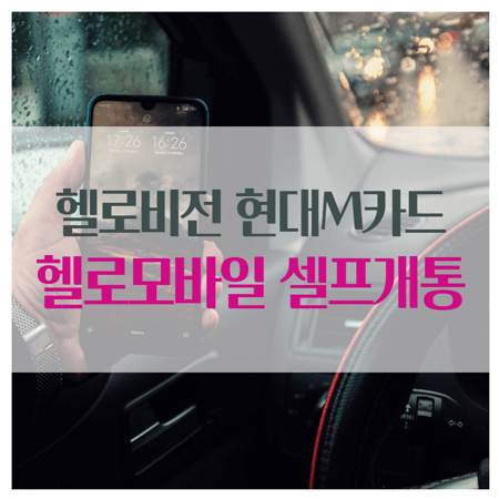 엘지벨벳폰 셀프개통과 lg헬로비전 현대카드