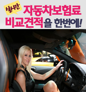 인터넷 공식 자동차보험료비교견적사이트 안내