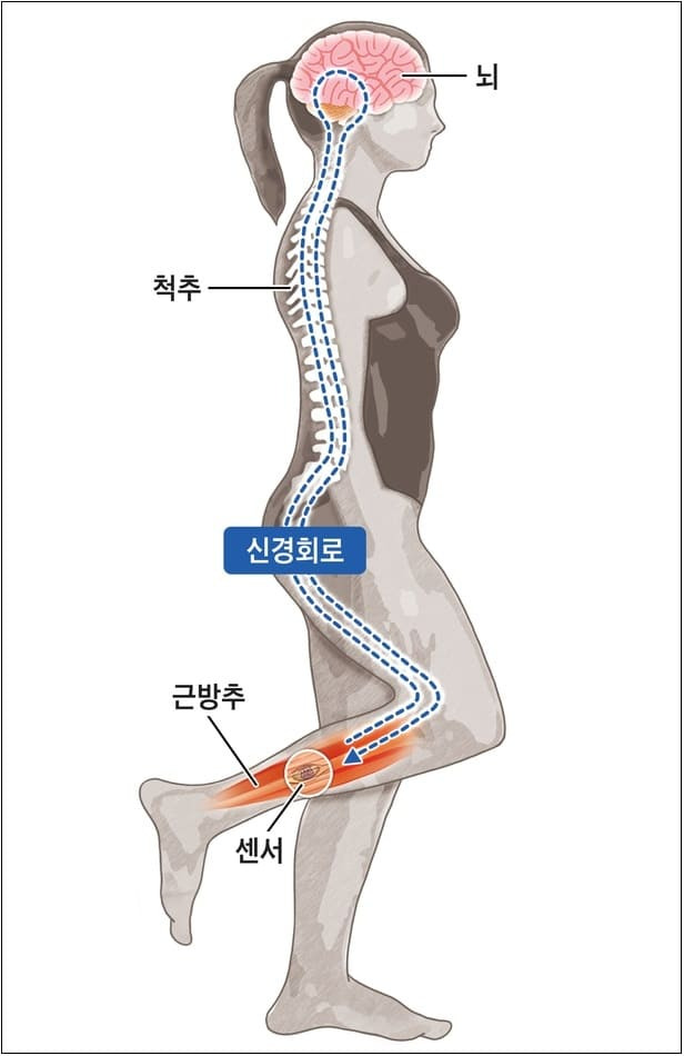 걸을때 몸이 자꾸 ‘휘청’?....