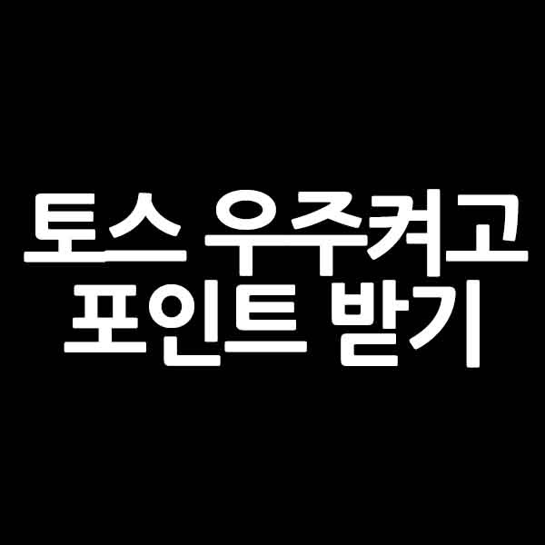 금융정보시스템