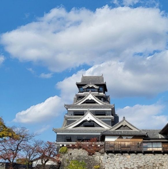 '알고떠나야합니다.' 2024년 달라진 일본여행정책 4가지