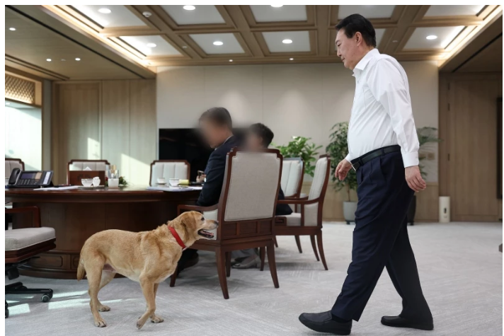 용산 대통령실 앞 공원에 문 여는 카페카페이름 어울림, 5월 쯤 오픈 예정대통령 집무실 감상