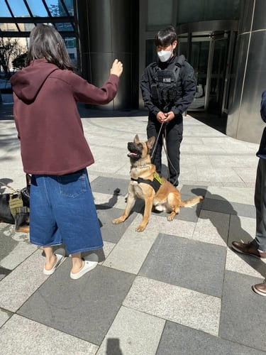 어머! 예뻐라!...당신 말고!