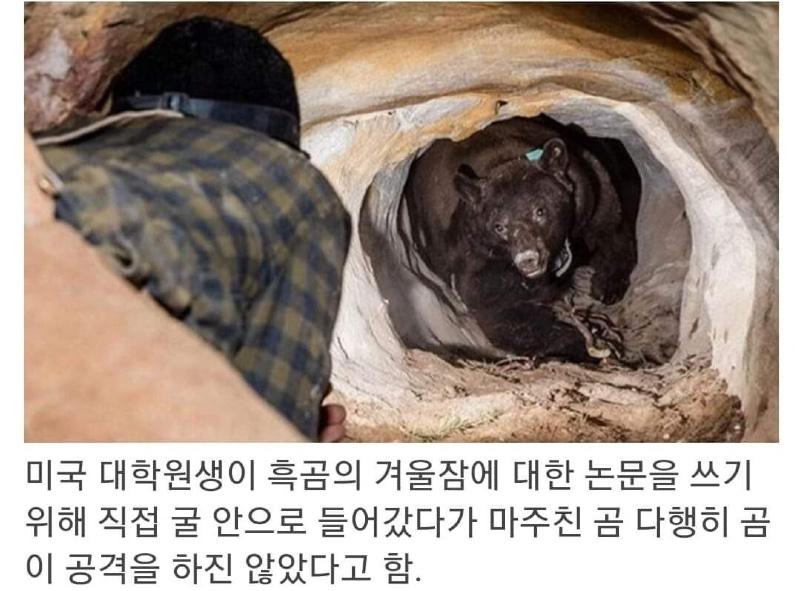 미국 대학원생 레전드와 국민대