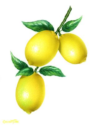 다재다능 살림꾼 `레몬` 사용법