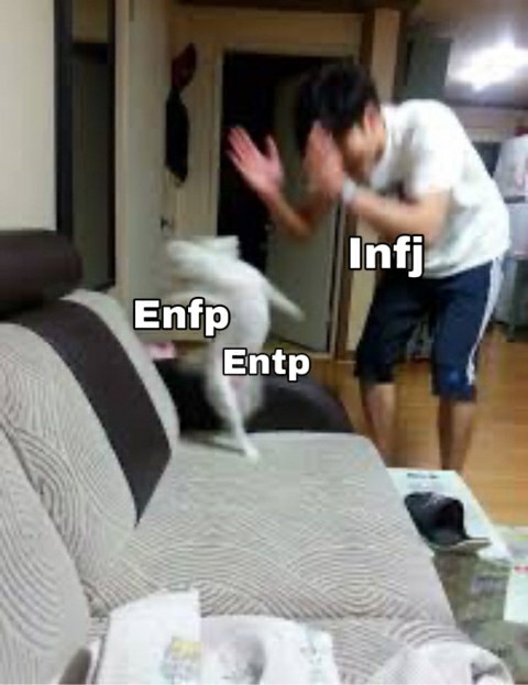 ENTP와 INFJ의 관계성