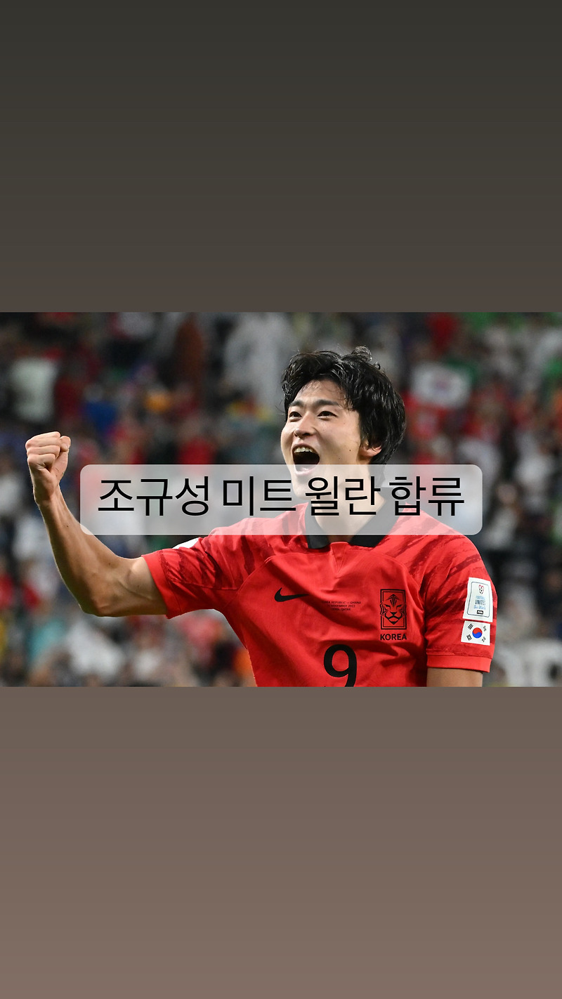 [축구] 조규성 덴마크 미트 윌란 합류