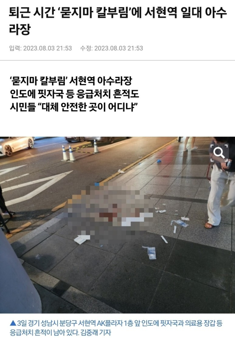 서현역 칼부림 시민영웅 윤도일 야탑역·정자역·잠실역·논현동·한티역·대치동·서면역·의정부역·강남역·8호선·압구정 현대 디시인사이드 한석원 (+살인예고글)