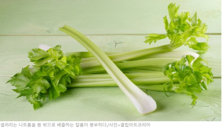 [셀러리] 효능과 궁합 좋은 음식 ㅣ 얼리면 어떻게 되나 Can You Freeze Celery?