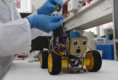 1만 배 고강도 후각 가진  사이보그 곤충 VIDEO: A scientific first: A robot able to “smell” using a biological sensor