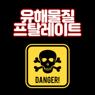 다이소 아기욕조의 유해물질인 프탈레이트계 가소제는 무엇일까?