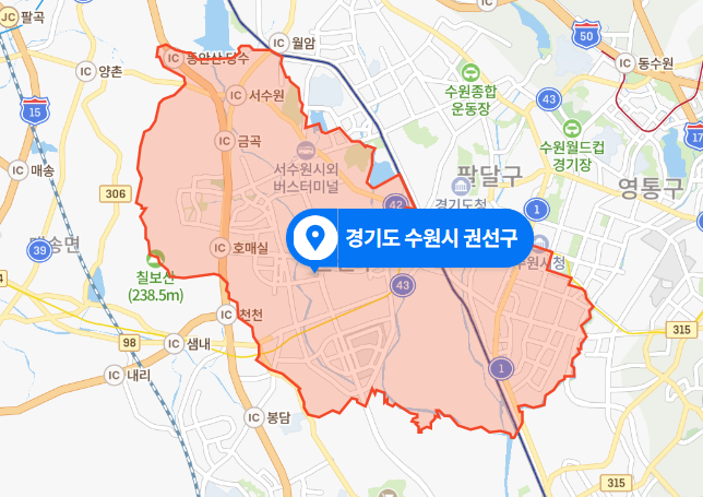 2019년 2월 - 경기 수원시 권선구 비속살인 사건 (징역 3년 6개월)