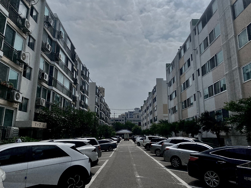부천시 신흥로 현대아파트 모 헬스 유튜버 스테로이드 발기 불능 무정자 불임 나카모리 아키나 소송 우편물