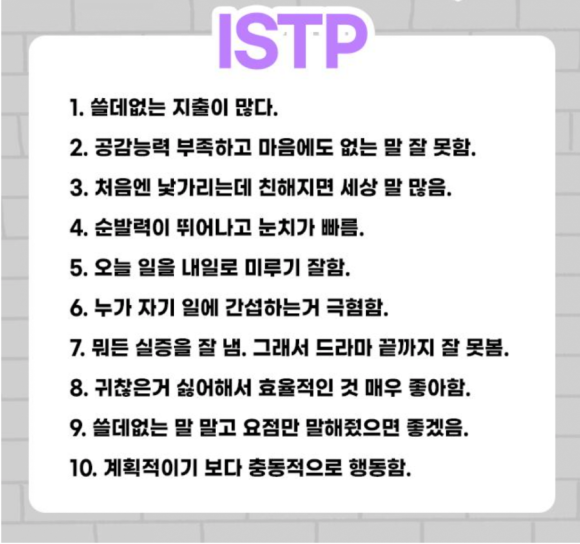재미로 보는 MBTI - 내향형 팩폭 2 (ISTP ISFP INFJP INTP)