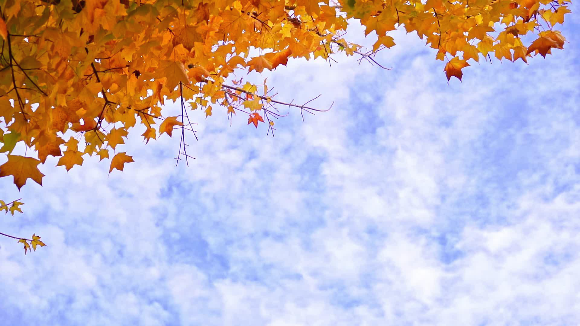 [하나님의 약속]죄에 관한 성경 구절 – 죄를 벗어 버리는 길