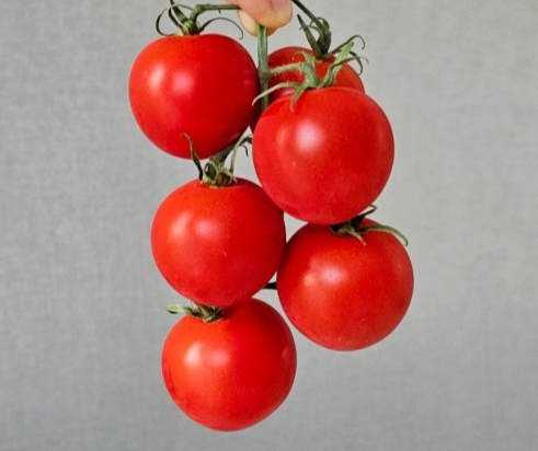 세계 10대 슈퍼푸드 토마토의 효능과 부작용