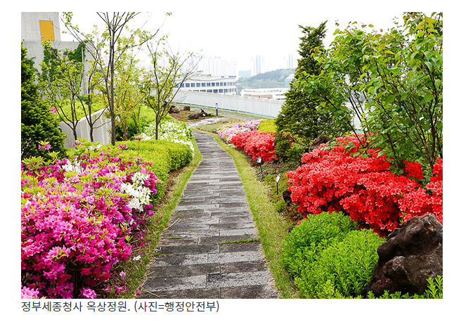봄꽃 향기 가득한 정부세종청사 옥상정원으로 오세요