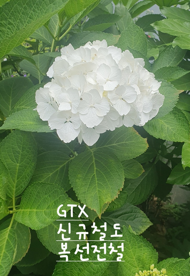 신규철도 개통 GTX '복선전철' 수혜 아파트는 어디일까?