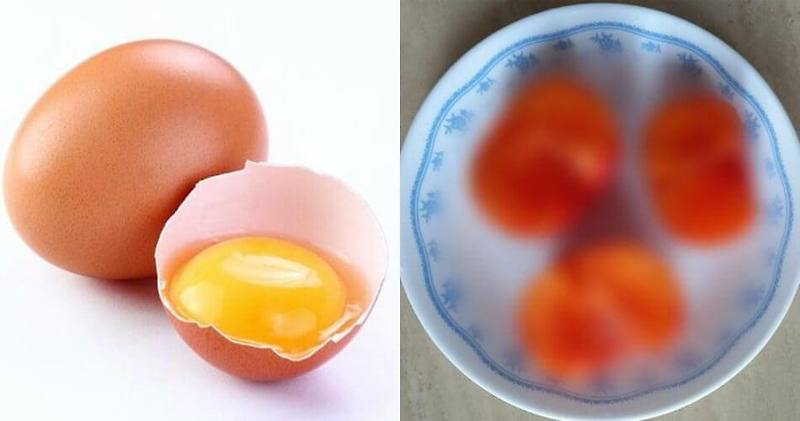 매일 먹는 계란과 같이 먹으면 안좋은 식품들