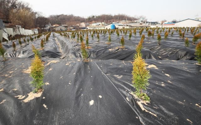 부천 대장신도시 관련 1차조사결과 땅투기 공무원 “전무”