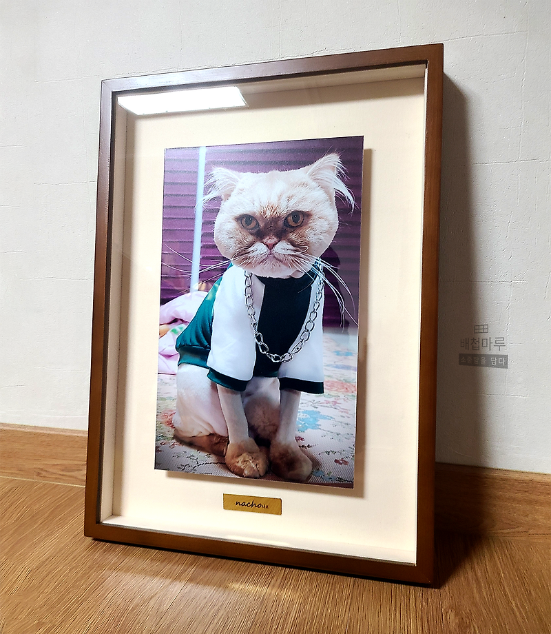 고양이 사진 선물 액자 표구