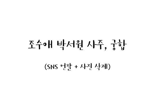 조수애 박서원 사주, 궁합 (SNS 언팔 + 사진 삭제)