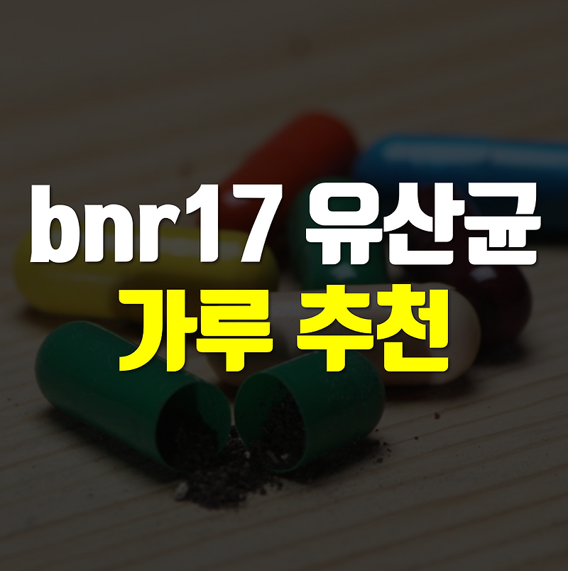 bnr17 유산균 가루 추천