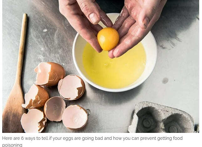 우유·달걀, 상했는지 쉽게 확인하는 법 4 Easy Ways to Tell if an Egg Has Gone Bad
