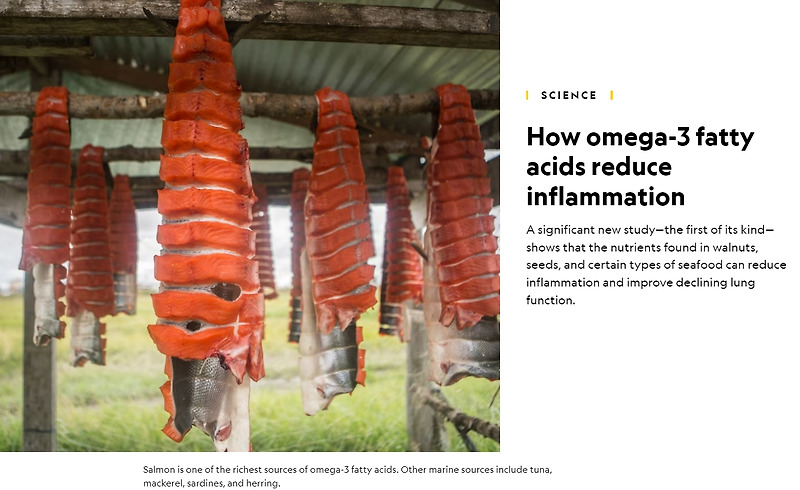 오메가-3 지방산이 염증을 줄여주는 방법 How omega-3 fatty acids reduce inflammation