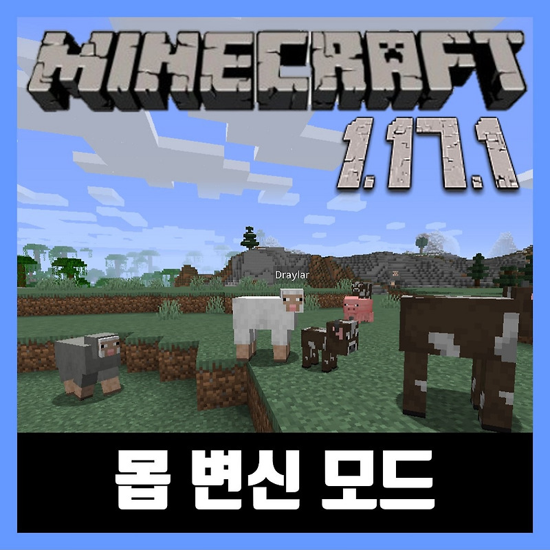 마인크래프트 1.17.1 몹 변신 모드 (아이덴티티) Identity